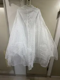 Item thumbnail for item 1809dde2-c3e3-4935-8101-c65651a74963