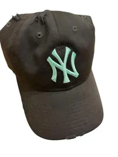 FR2 golf 沖縄 キャップ NY ゴルフ ニューヨーク ヤンキース 月桃