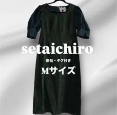 Item thumbnail for item ee4a5116-cbc0-4144-91f8-88c7bd417273