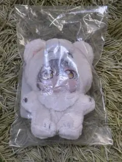 あんスタ 一緒に暮らすぬい いつぬい 大神晃牙