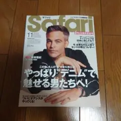 Safari 2025年11月号