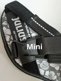 Item thumbnail for item 086e840e-4977-4a0f-a74e-b0cf6e79ebf9