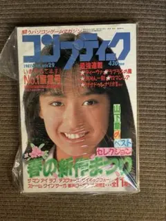 ノ*カ様 COMET SISTERS 1989年5月号 - メルカリ
