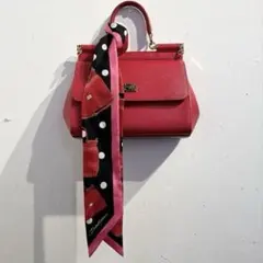 【DOLCE&GABBANA】新品！ミニバッグ　赤　スカーフのサムネイル