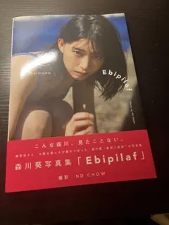 森川葵 写真集 Ebipilaf