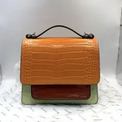 Ray BEAMS マルチカラー　ショルダーバッグ