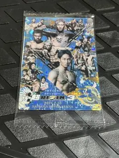 Item thumbnail for item 93c73ad4-4d60-408e-8a37-db02cc513d27