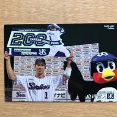 プロ野球チップスカード 東京ヤクルトスワローズ 山田哲人 カルビー 2020