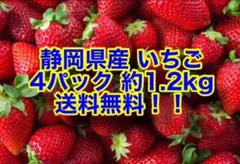 【大容量】朝採り 紅ほっぺ 極小粒 〜農家直送〜 いちご　イチゴ 大容量】朝採り 紅ほっぺ 極小粒 〜農家直送〜 いちご - メルカリ