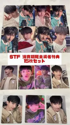 SEVENTEEN 来場者限定 ドギョム 15枚セット 日本限定 STF消費期限