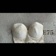 foursis&co.(フォーシスアンドカンパニー) ブライダルインナー フォーシスアンドカンパニー ブライダルインナー FOUR SIS&Co