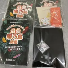 新政ノベルティセット 2025年最新】新政 頒布会 ノベルティの人気アイテム - メルカリ