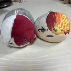 僕のヒーローアカデミア 轟焦凍