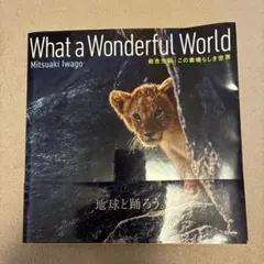 Item thumbnail for item 8b39c6e3-d8c6-409d-a9c1-43452029b9ff