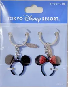 東京ディズニーリゾート ペアキーホルダー