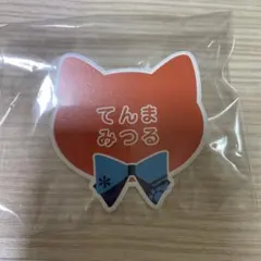 あんスタ ネームバッジ ナンジャ 天満光