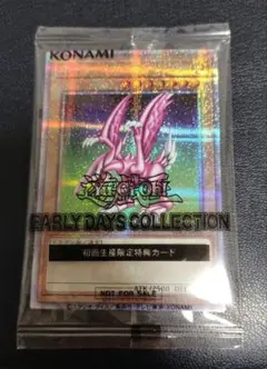 2025年最新】ホーリーナイトドラゴン 25thの人気アイテム - メルカリ