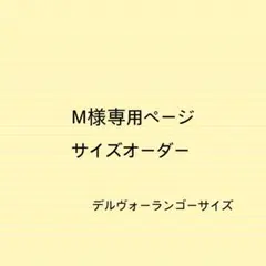 M様専用ページサイズオーダーバッグインバッグデルヴォーランゴー
