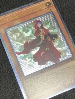 遊戯王 遊戯王OCG デュエルモンスターズ(外国語版)