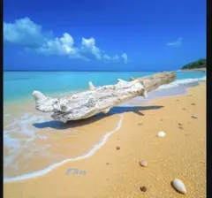 Takanori H様 リクエスト 2点 まとめ商品