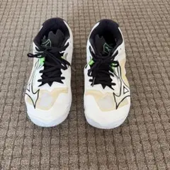 Mizuno バレーシューズ ウェーブライトニング Z8 24cm 中敷き新品