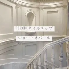 計測用ネイルチップ ショートオバール