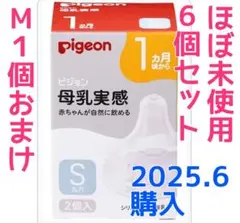 ほぼ未使用 Pigeon 哺乳瓶用乳首 Sサイズ6個 M おまけ　セット売り