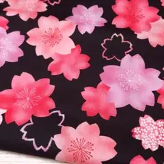 綿生地 シーチング 和風 花 桜柄 ブラック 1m