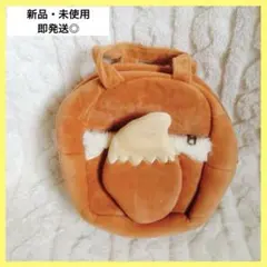 ポケモン　イーブイ　フリースバッグ　手提げバッグ　キッズ　新品　未使用　バッグ