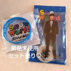 Snow World アクリルスタンド＆ラバーバンドセット　新品　渡辺翔太