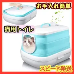 Item thumbnail for item 1e920a0d-877b-4a6d-ba99-ac11a303e2bc