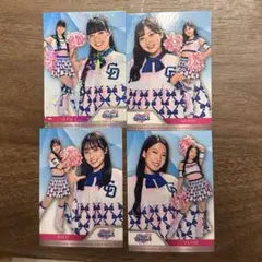 チアカード　Cheer Dragons