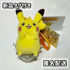 ピカチュウ しんかのいし ぬいぐるみマスコット Pokémon center限定