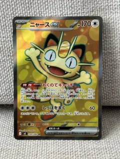 ニャースex SAR 専用ディスプレイフレーム - メルカリ