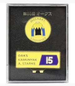 Item thumbnail for item 3773c999-f402-4fd9-a788-6dd3b79ee4eb