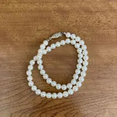 Item thumbnail for item 452db77d-870d-47d4-8414-cddcdcad0c0e