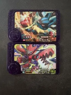 【メガハッサム＋メガルカリオ】ポケモンフレンダST