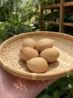 2025年最新】サイカス カイルンシアナの人気アイテム - メルカリ