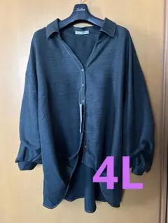 新品　大きいサイズ　4L Lax Dan Tai　長袖　ブラウス　ダークグリーン