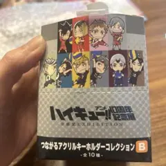 ハイキュー!! アクリルキーホルダーコレクション B