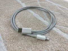 ライトニングケーブル(USB-C) Apple純正品 Lightningケーブル