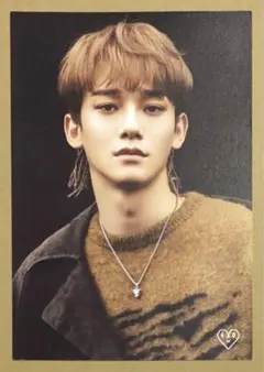 EXO チェン トレカ まとめ売り 2025年最新】exo chenの人気アイテム - メルカリ