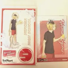 ハイキュー アクリルスタンド ポストカード 孤爪研磨 水遊び