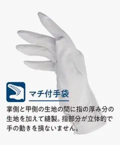 Item thumbnail for item 712e7c6e-6381-4cf0-971b-2538a8fe03c7