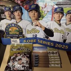 オリックスバファローズ　ブルーウェーブ　ハリセン　焼ビーフン　無料乗船券