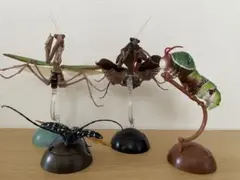 生き物大図鑑　カマキリ他4点セット