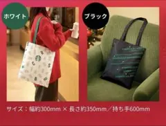 スターバックス　STARBUCKS スタバ　ホリデー フラットバッグ 2点セット