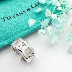 2026年最新】tiffany ピアス アトラスの人気アイテム - メルカリ