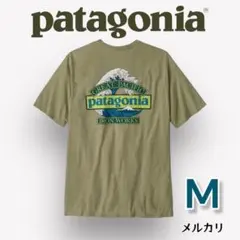 パタゴニア メンズ・グレート・ウェーブス・レスポンシビリティー　Mサイズ