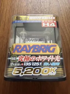 RAYBRIG サーキットハイパーハロゲン H4 RA45